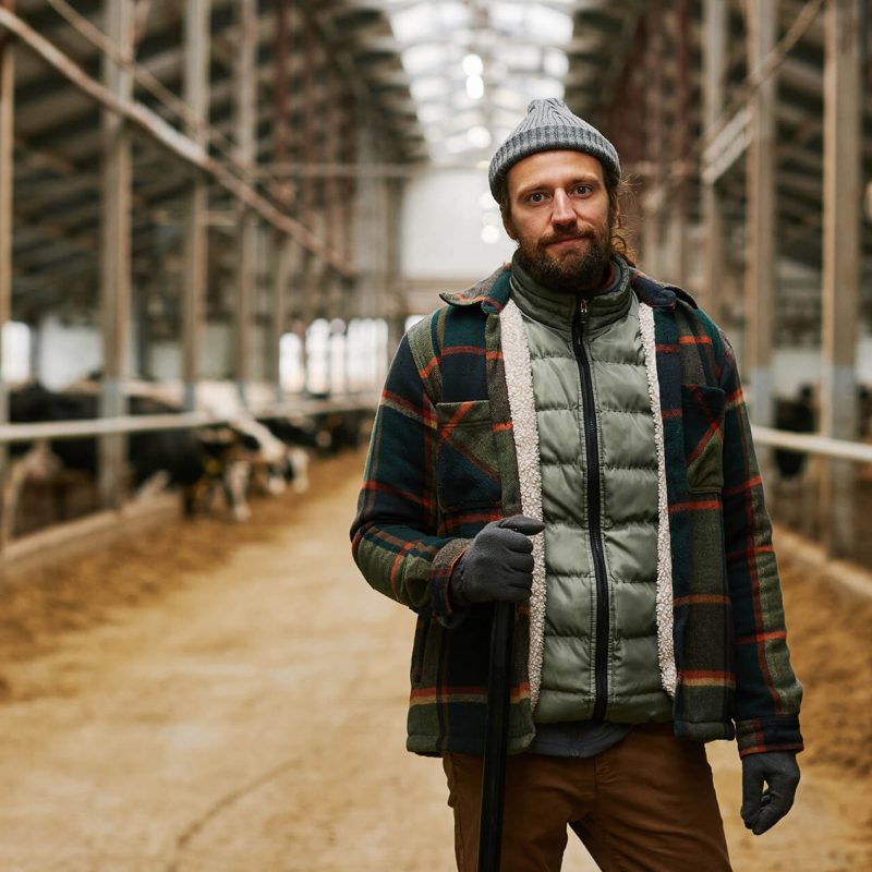Die perfekte Erntehilfe: Saisonarbeiter aus Polen in der Landwirtschaft